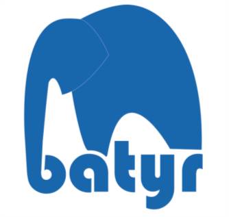 Can-Do-Ability: Batyr - giving a voice to the elephant in the room