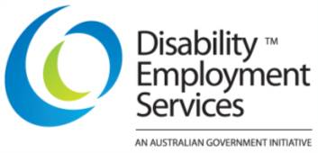 Can-Do-Ability: DES - What is the government doing