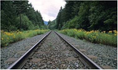 Can-Do-Ability: Autistic Boy Struck By Train